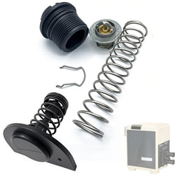 LOBIUTIYA 77707-0010 Thermal Regulator and 77707-0001 Manifold Bypass Valve Kit Compatible with MasterTemp 400 250 125 200 300 333 and Sta-Rite Pool and Pool Heaters, 38000-0007S thermal regulator kit